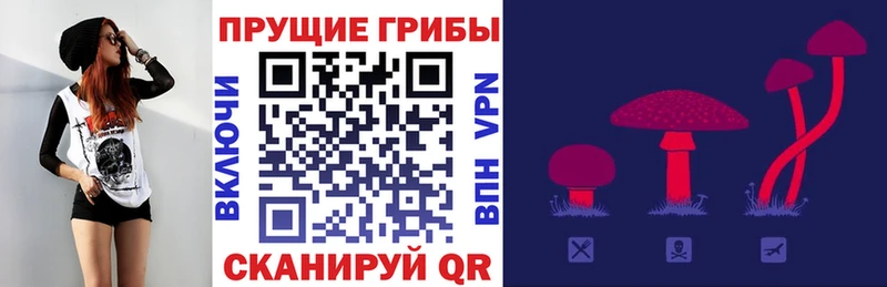 Купить где  Елец  Галлюциногенные грибы мухоморы 