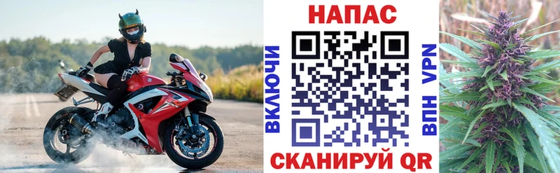 Шишки марихуана Ganja  Купить где  Елец 
